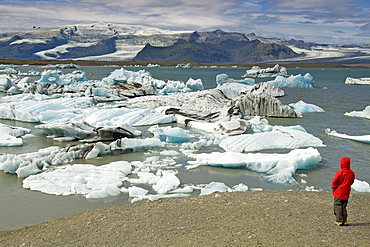 Tourist watching icebergs floating in Jokullsarlon lake at the foot of the Vatnajokull glacier, in the southeast, Iceland, Polar Regions