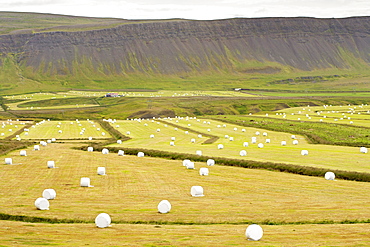 Farm near the town of Kroksfjardarnes in the Westfjords region of the northwest, Iceland, Polar Regions