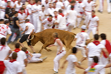 A man is butted by a cow in the bullring during the festival of San Fermin (The Running of the Bulls) in Pamplona, Navarra, Euskadi, Spain, Europe