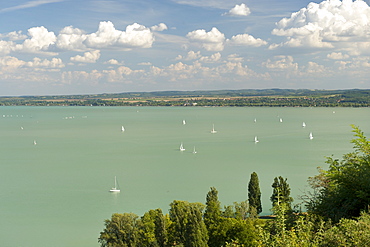 View from Tihany of sailing boats on Lake Balaton, Hungary, Europe