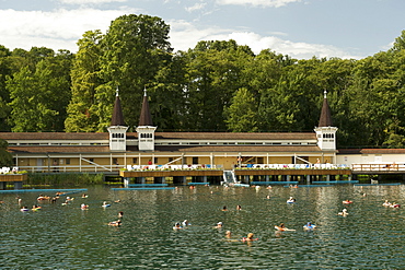 People swimming in the rejuvenating waters of Lake Heviz, Hungary, Europe