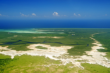 Mangroves along the coast of the Quirimbas National Park in Mozambique, Africa