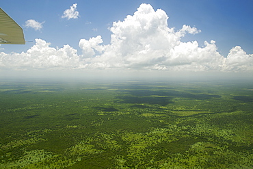 Aerial view of clouds over the coastal plains of northern Mozambique, Africa