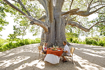 Lunch under the giant baobab tree at Matemo lodge in the Quirimbas archipelago in Mozambique, Africa