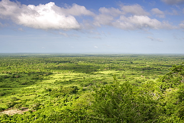 View across the Quirimbas National Park in northern Mozambique, Africa