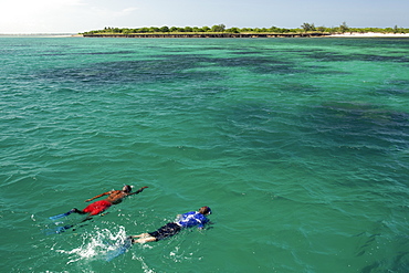 Snorkelling off Mogundula island in the Quirimbas archipelago in northern Mozambique, Indian Ocean, Africa