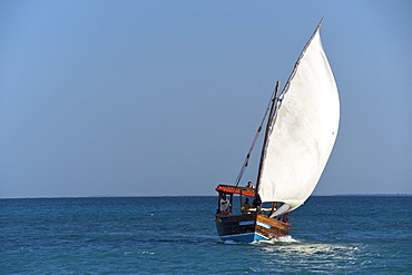 Dhow sailing in the Quirimbas archipelago off the coast of northern Mozambique, Indian Ocean, Africa