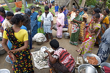 Fish auction at Kalapet village near Pondicherry India