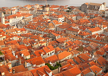 View over the rooftops of the old town in the city of Dubrovnik, UNESCO World Heritage Site, Adriatic Coast, Croatia, Europe