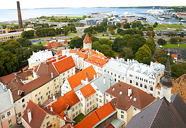 Rooftops of the old town in Tallinn, UNESCO World Heritage Site, with the port of Tallinn in the background, Estonia, Baltic States, Europe