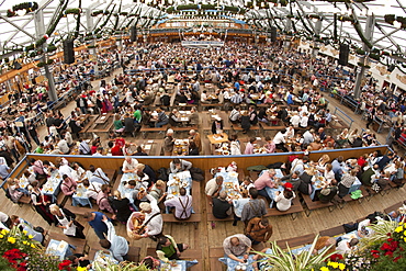 Interior of a beer tent at Oktoberfest in Munich, Bavaria, Germany, Europe