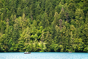 The forested shores of Lake Bled in the Julian Alps in northwest Slovenia, Europe