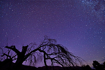 View of the stars from the Cederberg mountains in South Africa, Africa