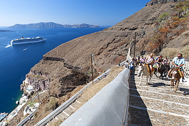 Tourist riding a donkey up the steps leading from the old port to the village of Fira on the Greek island of Santorini, Cyclades, Greek Islands, Greece, Europe