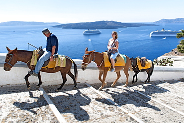 Tourist riding a donkey up the steps leading from the old port to the village of Fira on the Greek island of Santorini, Cyclades, Greek Islands, Greece, Europe