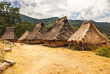 Wologai traditional village, Flores island, Indonesia.