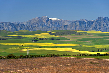 View across farmlands of the Boland mountains in South Africa's Western Cape Province.