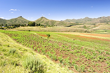 Scenery along the road to Semonkong in the mountain kingdom of Lesotho, Africa