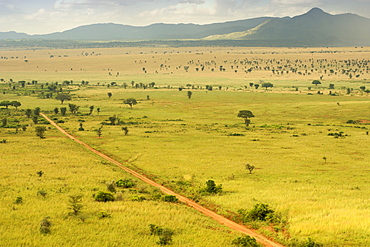 View of a dirt road running through Kidepo Valley National Park in northern Uganda.