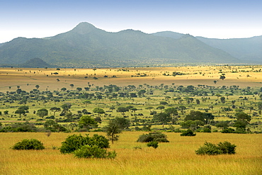 View across the plains of Kidepo Valley National Park in northern Uganda.