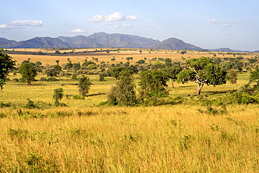 View across the plains of Kidepo Valley National Park in northern Uganda.