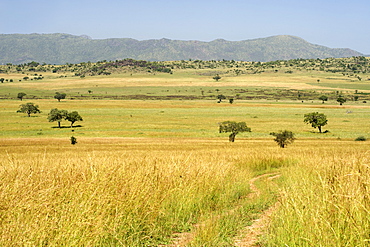 View across the plains of Kidepo Valley National Park in northern Uganda.