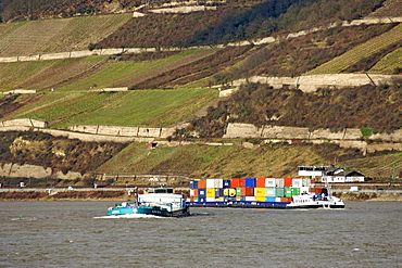 Container ship on the Rhine River, Hessen Province, Germany, Europe