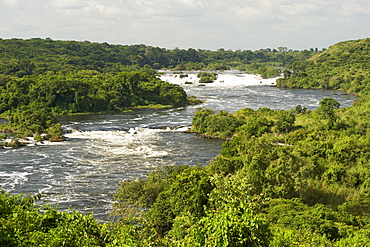 View of the Karuma Falls on the Victoria Nile River in Uganda.