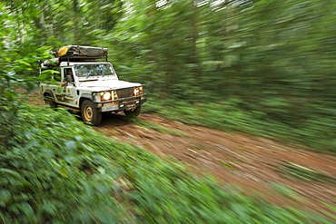 Land Rover Defender in the Budongo Forest Reserve in Uganda.