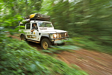 Land Rover Defender in the Budongo Forest Reserve in Uganda.