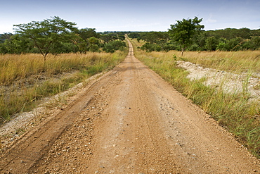 Dirt road in Semliki wildlife reserve in Uganda.