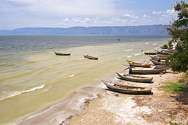 Boats on the shores of Lake Albert in western Uganda.