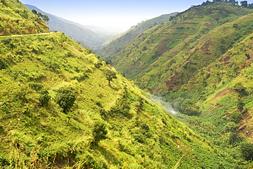 Scenery along the road to Semliki National Park in western Uganda.