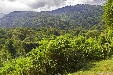 Rwenzori mountains near Kilembe in western Uganda.