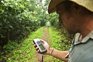 Man with a GPS in the rainforests of Bwindi Impenetrable National Park in southern Uganda.