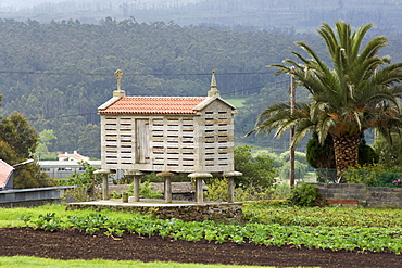 A stone horreo, a traditional store for maize (corn) in Galicia, a region of northwestern Spain.