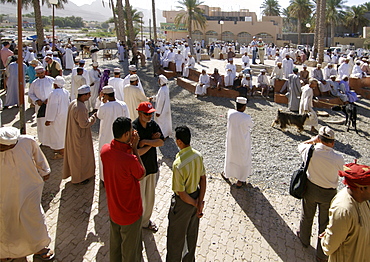 View of the livestock arena at the Friday market in Nizwa in Oman.