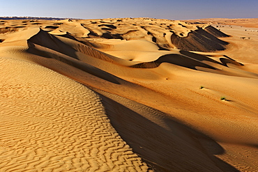 The dunes of Wahiba Sands (Ramlat al Wahaybah) in Oman.