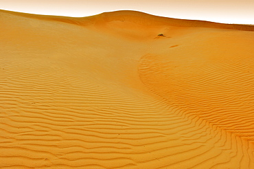 Dawn over Wahiba Sands (Ramlat al Wahaybah) in Oman.