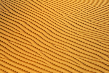 Patterns in the sand in Wahiba Sands (Ramlat al Wahaybah) in Oman.