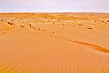 View across Wahiba Sands (Ramlat al Wahaybah) in Oman.