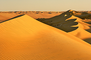 View across Wahiba Sands (Ramlat al Wahaybah) in Oman.