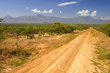 Mt Ayass (2633m) and Mt Kadam (3068m) in the Debasien range of mountains in the Nakapiripirit region of eastern Uganda.