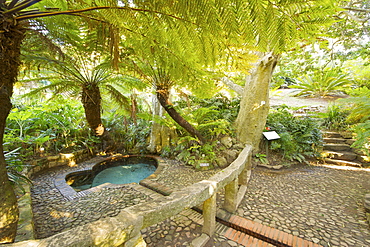 Colonel Bird's Bath in the Kirstenbosch Botanical Gardens in Cape Town, South Africa. It was built by Colonel Christopher Bird, the British Deputy Colonial Secretary during the occupation of the Cape by the British in the early nineteenth century. It was designed to collect the water and let it stand and clarify before being piped to his house for drinking water. It is often incorrectly referred to as Lady Anne Barnard's bath. She was the Colonial Secretary's wife but the bath was built after she left the Cape.