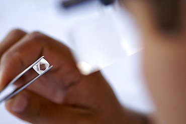 An uncut diamond being examined during sorting at De Beers' Harry Oppenheimer House building in Kimberley South Africa.