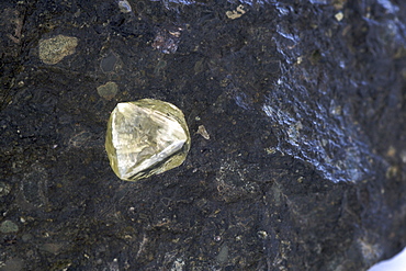 A yellow diamond embedded in a piece of kimberlite. Kimberlite is the igneous stone in which diamonds are found and was formed in the Earth's crust between 100 and 1000 million years ago.