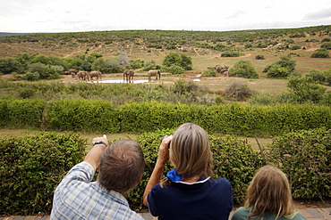 Tourists watching elephants (Loxodonta africana) at a watering hole in the Addo Elephant National Park in South Africa's Eastern Cape Province.