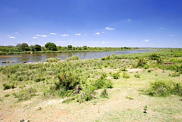 The Sabie River in South Africa's Kruger National Park.