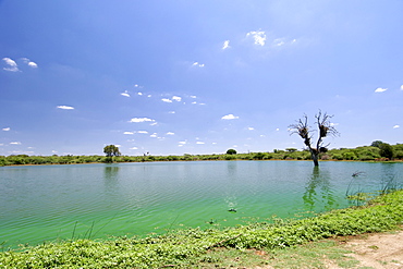 A dam near Lower Sabie in South Africa's Kruger National Park.