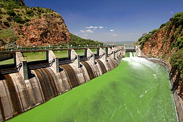 The Hartbeespoort Dam bypass channel in South Africa's North West Province. The water is green due to algae.